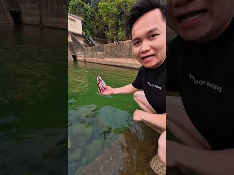 Sơn Soái Cho cá 🐟 Sao Hoả Ăn Mì Tôm Sống Đẳng Cấp #shorts