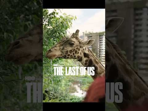 La jirafa en The Last of Us no era CGI🦒 | #Shorts #TheLastOfUs #CGI