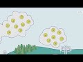 EU Emissions Trading System Concepts