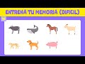Prueba de Memoria Visual