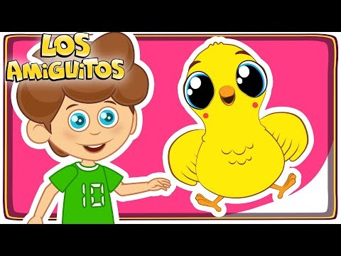 El Pollito Pio Pio 🐣 colección de cancion infantil | Los Amiguitos