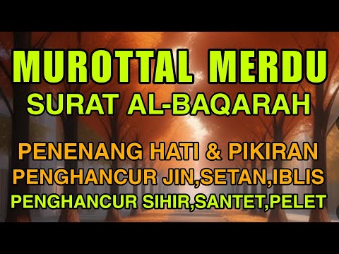 Murottal Merdu Surah Al-Baqarah - Alaa’ Aqel, Murotal Pengantar Tidur