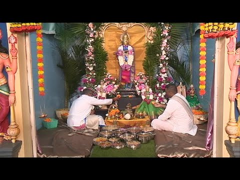 Krishna Janmasthami held at Rivière des Anguilles