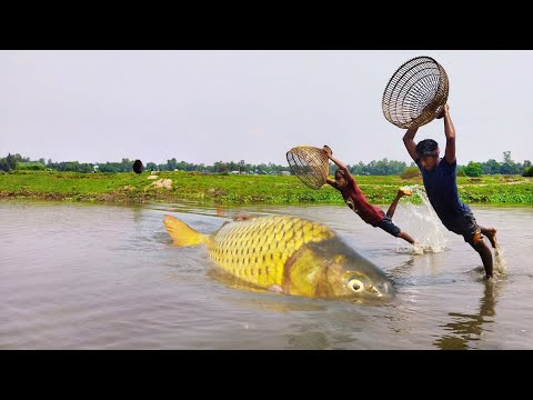 Fishermen Hunted Small Catfish With Polo