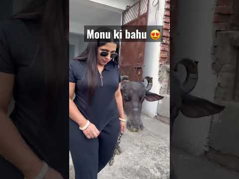 😂😂dairy vlog post karungi aaj #rajnirathee