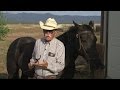 Understanding Ranch Branding