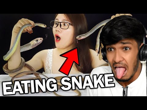 Eating Snake Food Challenge Ft. ASMR