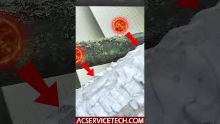 Formicary Corrosion on Copper Line Set!