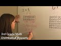 Understanding Multiplication and Distributive Property
