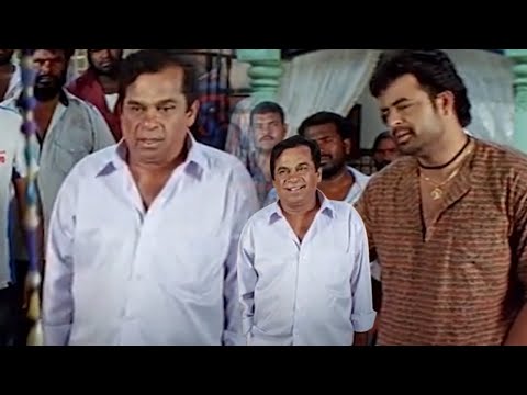 Brahmanandam Back To Back Funny Scenes | Vaareva @tfcteluguvideos