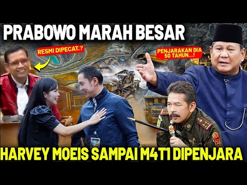 SANDRA DEWI BAKAL MENJANDA! Presiden Pastikan Harvey Moeis & Koruptor Lain Memb*suk Dipenjara!