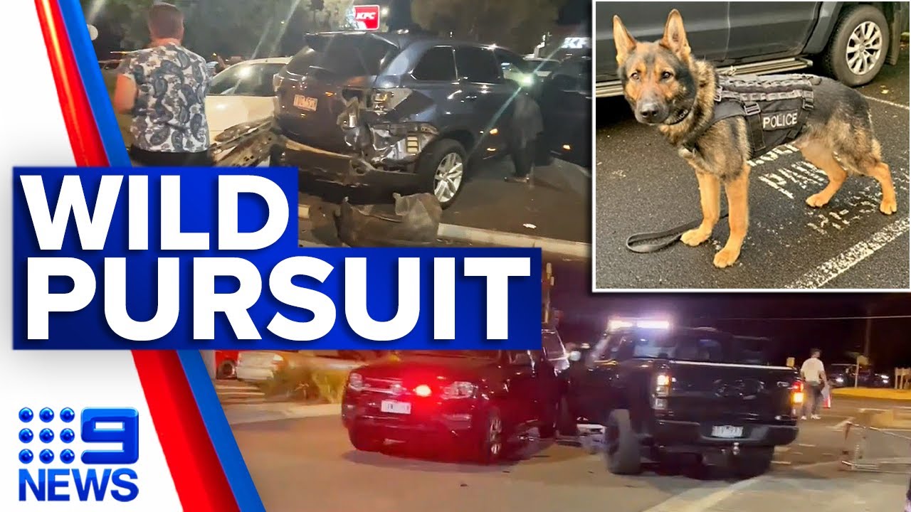 Police Dog Injured in High-Speed Chase in Melbourne 