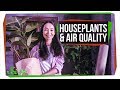 Plants and Indoor Air Quality