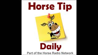 1654: Equestrian Life Skill - Picking Up & Putting Down Objects, by Sentinel Horse Nutrition