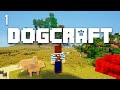 Dog Craft Series Exploration