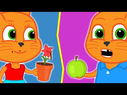 Familia de Gatos - ¿ES UN PASTEL O UNA FLOR REAL? 🤔🎂🌸👀 Dibujos Animados Para Niños