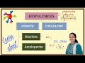 Biopolymers and Their Structures