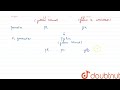 Dihybrid Cross and Phenotypic Ratios