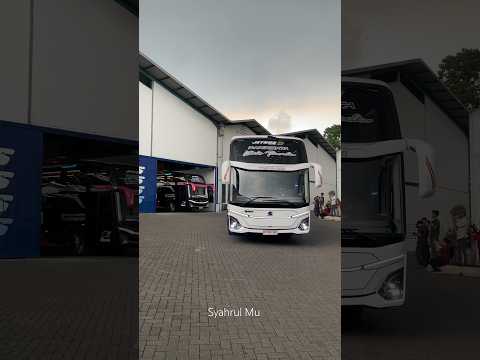 RESMI RILIS KIDS PANDA ft BLACKPINK JETBUS 5 , LANGSUNG FULL BASURI 🤩🤘 #syahrulmu #tunggaljaya