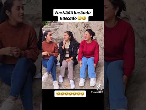 videos random de tiktok #17 hasta llegar al 1 millón de suscriptores #subscribe #cat #gatos #humor
