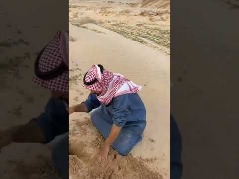 الطرثوث