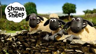 Shaun the Class Clown! 🐑 Shaun the Sheep 🐑  - Cartoons for Kids 🐑 Full Episodes Compilation