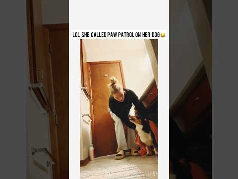 LADY CALLS POLICE ON HER DOG #police #pets #reels