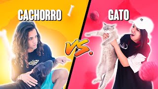 DESAFIAMOS NOSSOS PETS CACHORRO VS GATO *quem venceu?