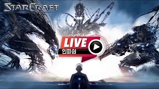 25.09.24(수) 【 인피쉰 생방송 다시보기 】 스타 빨무 스타크래프트 Starcraft