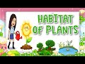 Plant Habitats and Characteristics