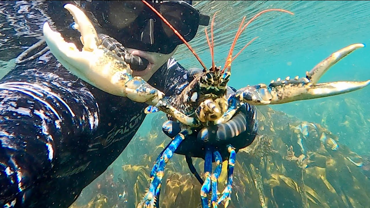 Coastal Foraging/Exploring and Diving - Underwater footage and Lobster Beach Cook - The Fish Locker