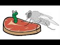 Microbial Growth and Spontaneous Generation