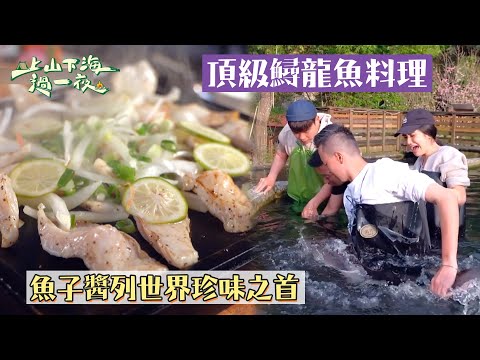 頂級鱘龍魚料理上桌～最珍貴魚子醬甚至被列為世界三大珍味之首！！｜【上山下海過一夜】