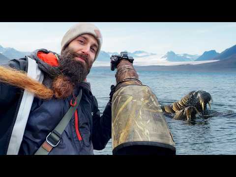 Fotografío Animales Salvajes en SVALBARD!