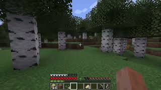 Secret Minecraft #Minecraft #MinecraftChallenge