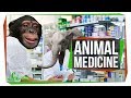 Zoopharmacognosy and Animal Self-Medication