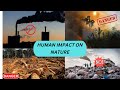 Environmental Impact and Urbanization