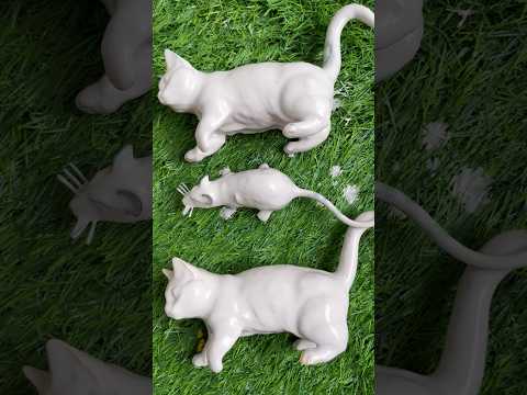 wao 🐈🐈‍⬛