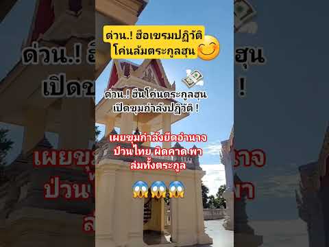 พาล่มทั้งตระกูล!! #automobile #comedy #funny #memes #food #cooking #ไหว้พระ #ท่องเที่ยว