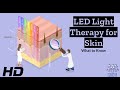 LED Light Therapy Concepts