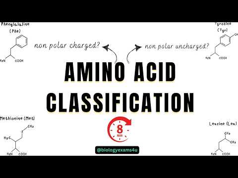 8-Minute Amino Acid Classification Biochemistry Hack|| How to learn?