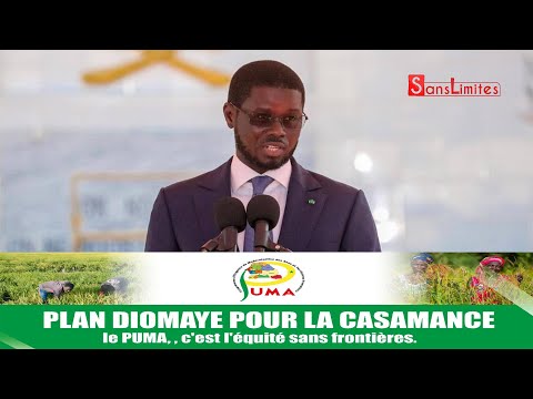 Le Pr Diomaye à Casamance pour Lancement du projet des déplacés de retour en Casamance