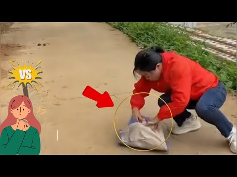 Tổng Hợp Video Cảm Động Về Tình Người – Bài Học Từ Cuộc Sống P2