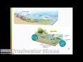 Ecology and Ecosystem Concepts