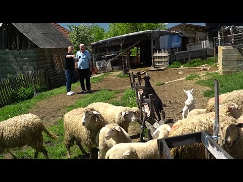 “Kad staneš s hodanjem i pićem… samo još čekaš da te pokriju!”