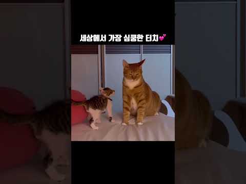 연하한테 끌리는 이유