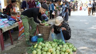 2 year living in forest, Harvest big guava fruit to market sell. Plant more fruit trees. Off-Grid