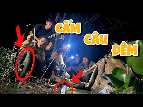 Anh Ba Phai | Thử Thách Cắm Câu Đêm - Một Đêm Bội Thu🐟