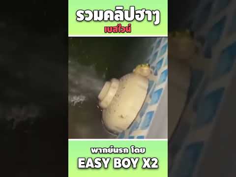 รวมคลิปฮา พากย์นรก #short #easyboy #คลิปฮา #เบสไวน์