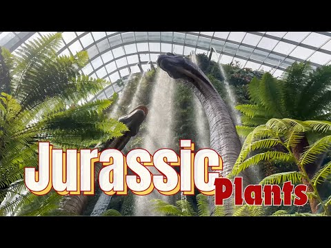 IMMERSIVE Prehistoric 🦖🌿 Landscaping at Gardens By The Bay Singapore to Inspire You!